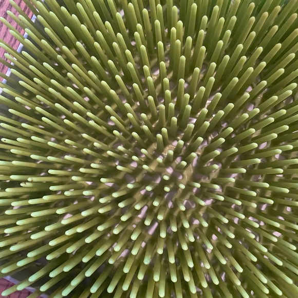 Boon Lawn Countertop Drying Rack - Green - Dries Baby Items - Picture 3 of 4